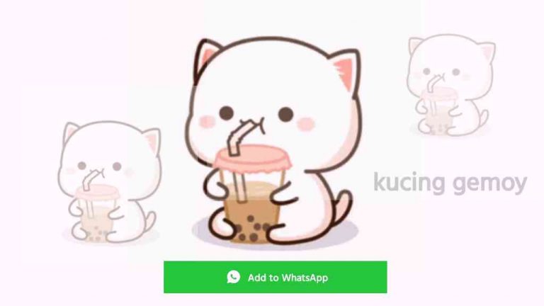 Stiker Kucing Lucu untuk WhatsApp Bergerak - Frankenstein45.Com