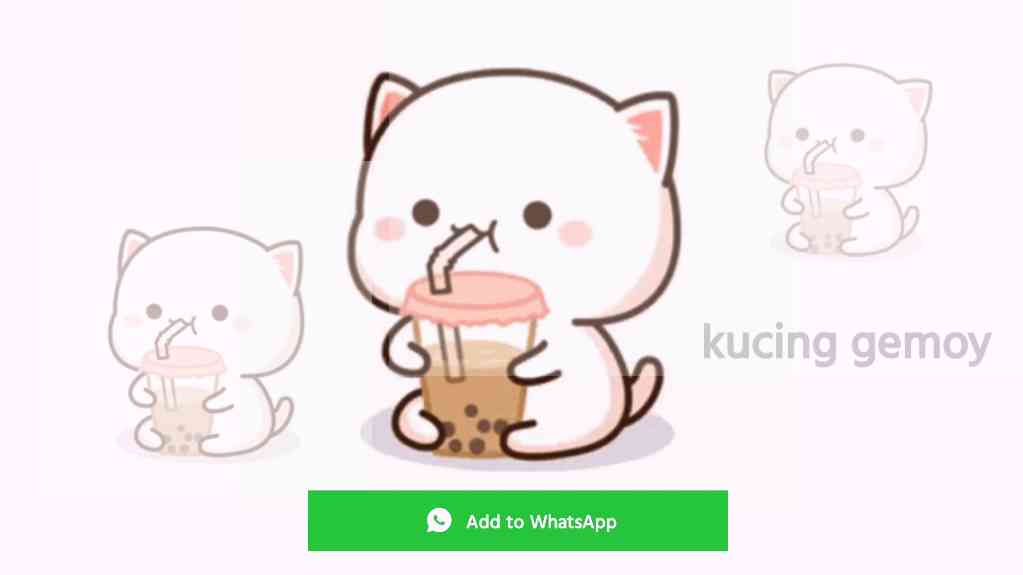 Stiker Kucing Lucu untuk WhatsApp Bergerak