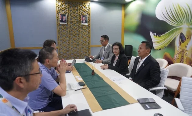 Kemenhut-MAFF Jepang bahas pengelolaan mangrove dan investasi karbon