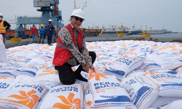 Mantan Amran Keluhkan Impor Beras, Ekspor Sepi: Stok 5 Juta Ton Siap Redam Harga