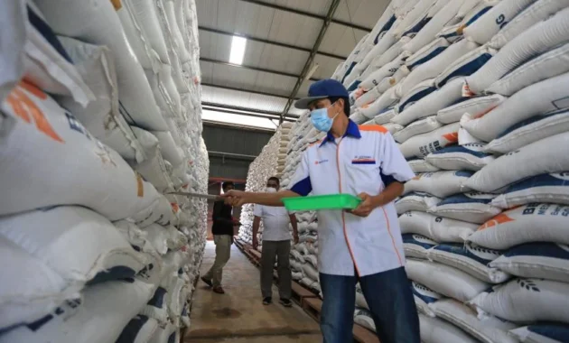 Mentan Amran Kecam Sunyi Ekspor Beras: Impor Ribut, Stok Meningkat, Harga Stabil?