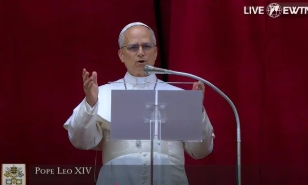 Paus Leo XIV Tegaskan Tuhan Tak Pernah Membenarkan Perang dalam Misa Minggu Palma