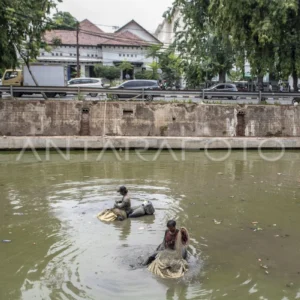 40 Ikan Sapu‑Sapu Dipotong, Dibakar, dan Dikubur di Kali Depan Plaza Indonesia, Wali Kota Tegur Warga