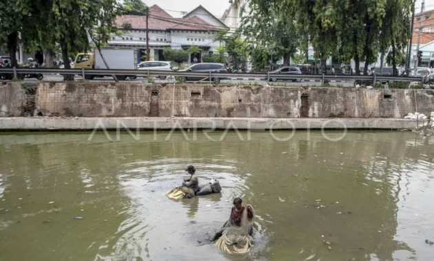 40 Ikan Sapu‑Sapu Dipotong, Dibakar, dan Dikubur di Kali Depan Plaza Indonesia, Wali Kota Tegur Warga