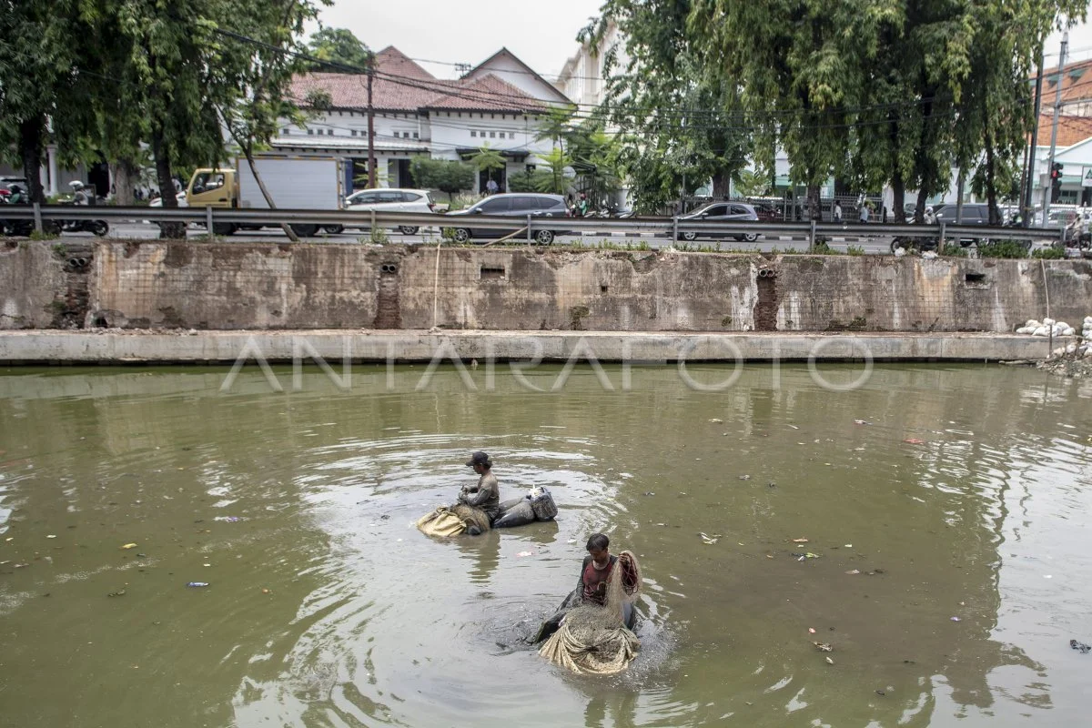 40 Ikan Sapu‑Sapu Dipotong, Dibakar, dan Dikubur di Kali Depan Plaza Indonesia, Wali Kota Tegur Warga
