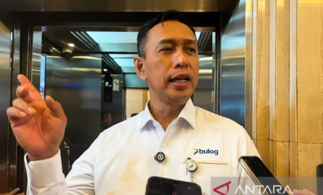 Ahmad Rizal Ramdhani Ungkap Strategi Nasional Menghadapi Stok Beras Tinggi dan Peluang Ekspor ke Timur Tengah