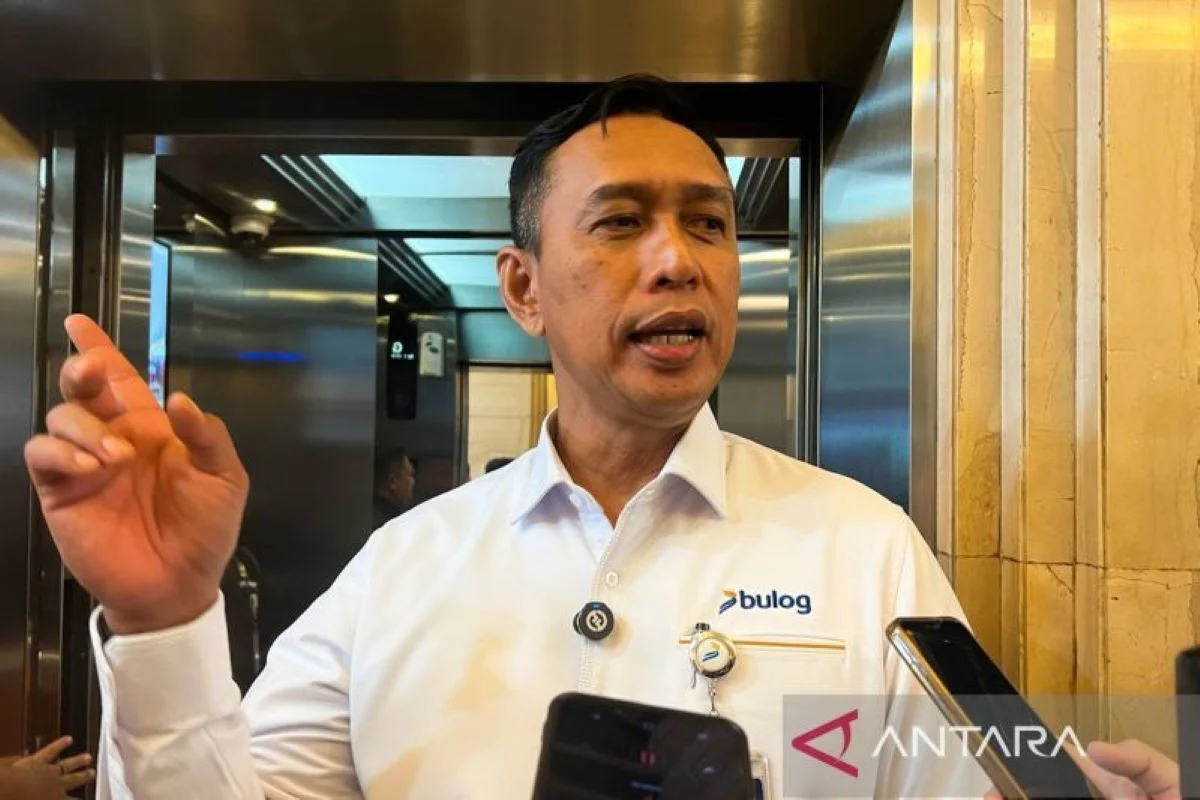 Ahmad Rizal Ramdhani Ungkap Strategi Nasional Menghadapi Stok Beras Tinggi dan Peluang Ekspor ke Timur Tengah