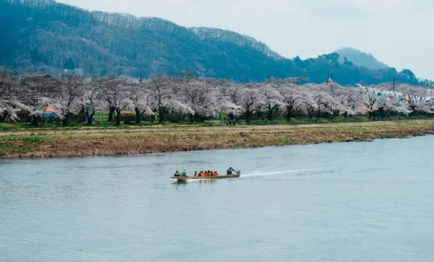 Alice Norin Menggoda Tokyo: 10 Foto Memukau Saat Berburu Sakura yang Bikin Netizen Terpana!