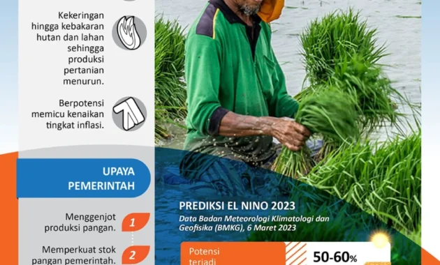 Amran Ungkap 5 Strategi Jitu Jaga Swasembada Pangan Hadapi Ancaman El Nino