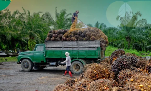 Avtur dari Kelapa Sawit: Tantangan Besar yang Masih Menggantung Avtur dari Kelapa Sawit: Tantangan Besar yang Masih Menggantung