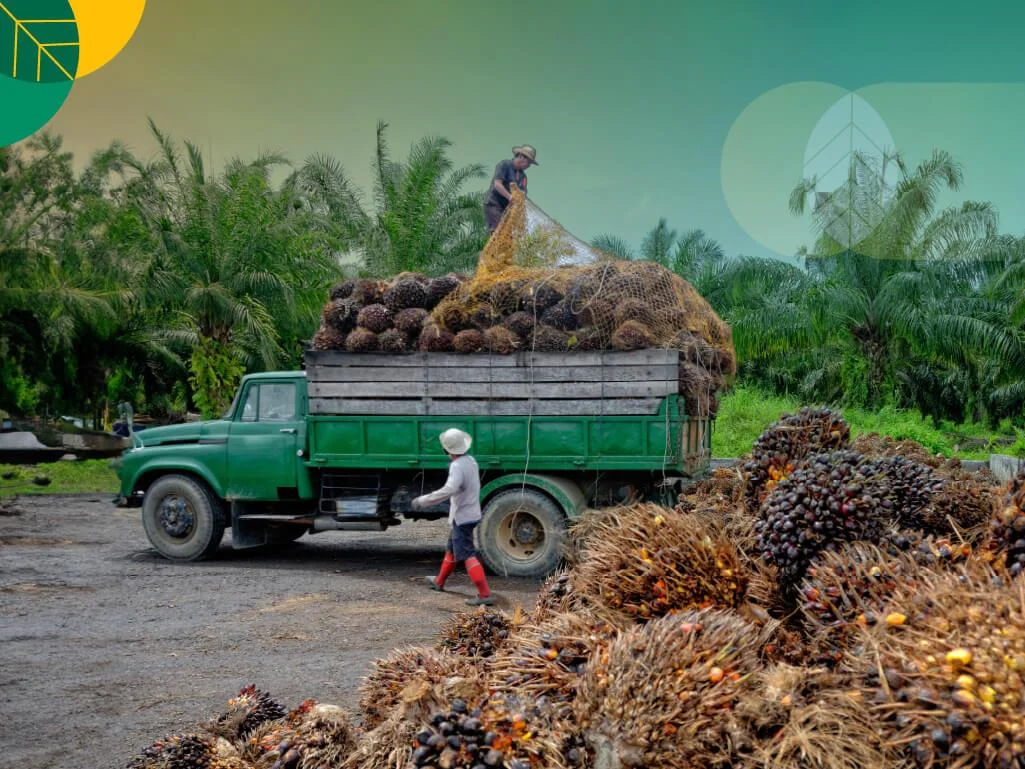 Avtur dari Kelapa Sawit: Tantangan Besar yang Masih Menggantung