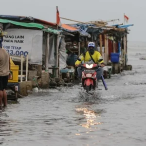 Banjir Rob Ancam Pesisir Utara Jakarta hingga 9 April 2026