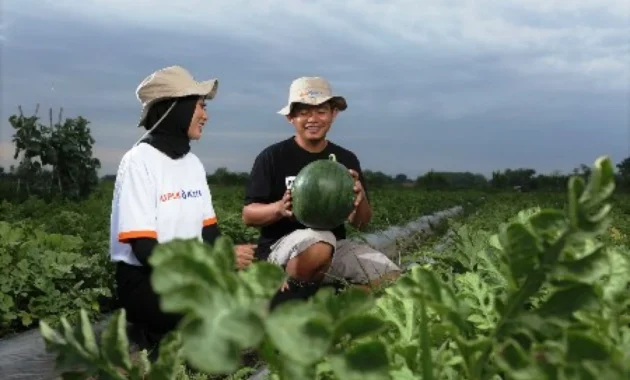 Banten Kirim 21 Petani Milenial Magang ke Jepang