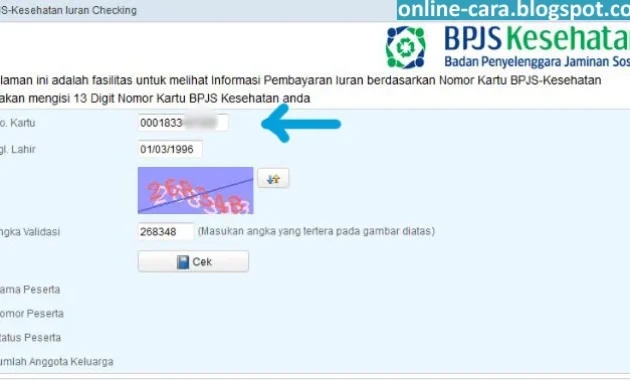 Bayi WNI Otomatis Jadi Peserta Aktif BPJS? Ini Penjelasan Lengkap dan Cara Cek Status Bayi WNI Otomatis Jadi Peserta Aktif BPJS? Ini Penjelasan Lengkap dan Cara Cek Status