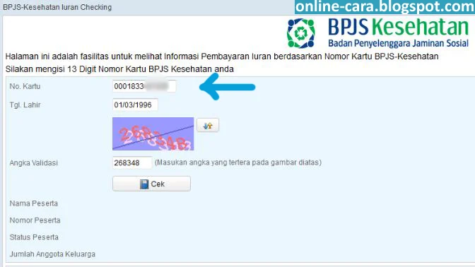 Bayi WNI Otomatis Jadi Peserta Aktif BPJS? Ini Penjelasan Lengkap dan Cara Cek Status