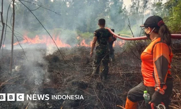 BMKG Peringatkan Dampak El Nino Lemah‑Moderat: Kemarau Lebih Panjang, Risiko Kekeringan dan Kebakaran Hutan Meningkat BMKG Peringatkan Dampak El Nino Lemah‑Moderat: Kemarau Lebih Panjang, Risiko Kekeringan dan Kebakaran Hutan Meningkat