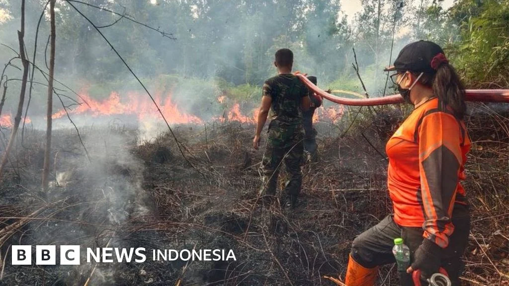 BMKG Peringatkan Dampak El Nino Lemah‑Moderat: Kemarau Lebih Panjang, Risiko Kekeringan dan Kebakaran Hutan Meningkat