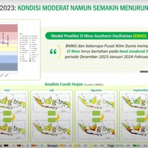 BMKG Prediksi Godzilla El Nino Picu Kemarau Lebih Panjang di Jambi