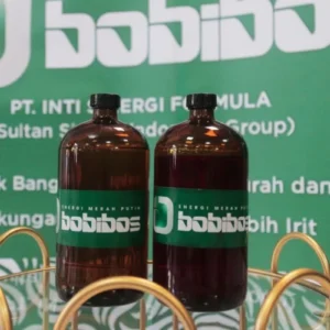 Bobibos Siap Jalani Serangkaian Tes Setelah Pertemuan dengan Kementerian ESDM