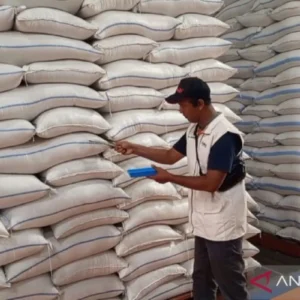 Bulog Maluku Targetkan Penyerapan 5.000 Ton Beras Petani Hingga 2026