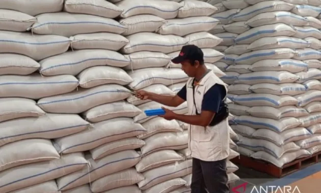 Bulog Maluku Targetkan Penyerapan 5.000 Ton Beras Petani Hingga 2026