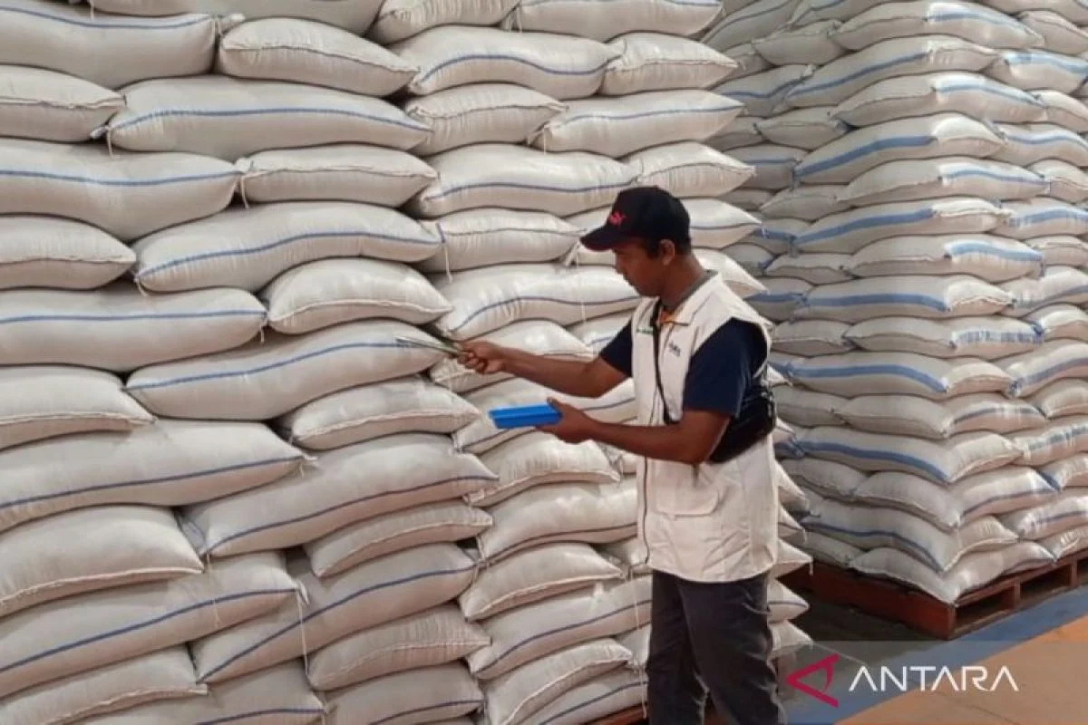 Bulog Maluku Targetkan Penyerapan 5.000 Ton Beras Petani Hingga 2026