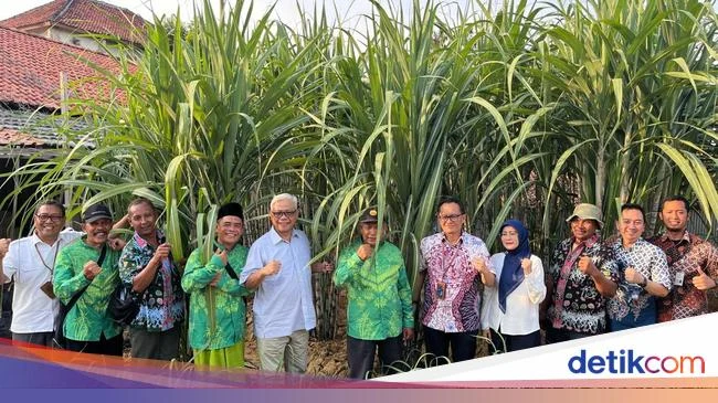 Bulog Tegaskan Komitmen Dukung Petani Tebu Blora