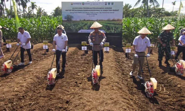 Bupati Blora Ajak Sinergi Lintas Sektor, Tingkatkan Luasan Lahan Pertanian Jagung Bupati Blora Ajak Sinergi Lintas Sektor, Tingkatkan Luasan Lahan Pertanian Jagung