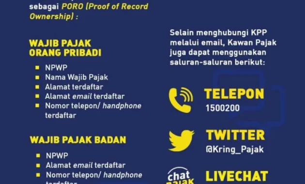 Cara Cepat Cek EFIN Pajak yang Lupa Secara Online Tanpa Harus ke Kantor Pajak