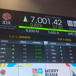 CDIA Naik Bersama IHSG: Rekomendasi Saham Pilihan di Tengah Potensi Koreksi Pasar