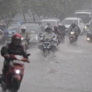 Cuaca Ekstrem Hujan Lebat di Jakarta Timur: Pohon Tumbang Timpakan Mobil, Atap Supermarket Ambruk, Puluhan Rumah Rusak