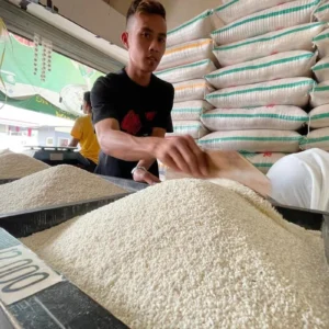 Dampak Perang Iran Dorong Harga Beras Asia Capai Rekor Tertinggi dalam Dua Tahun