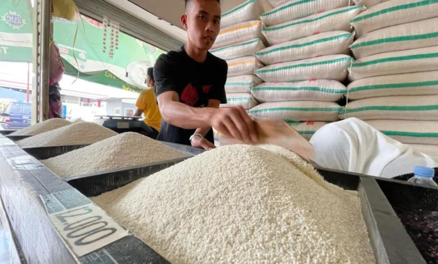 Dampak Perang Iran Dorong Harga Beras Asia Capai Rekor Tertinggi dalam Dua Tahun