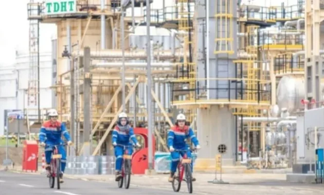 Dari Ekspor ke Proper Hijau, Ceria Tancap Gas Wujudkan Tambang Ramah Lingkungan