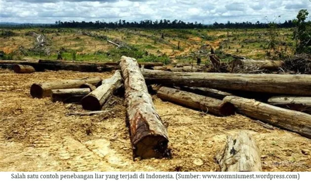 Deforestasi Hutan Indonesia Meningkat ke 433.751 Ha pada 2025, Program Ketahanan Pangan Prabowo Disorot