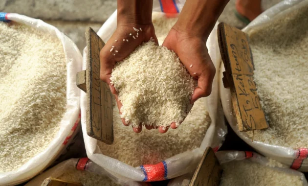 Di Balik Klaim Stok Beras Melimpah, Seberapa Tahan Indonesia Hadapi El Nino Ekstrem?