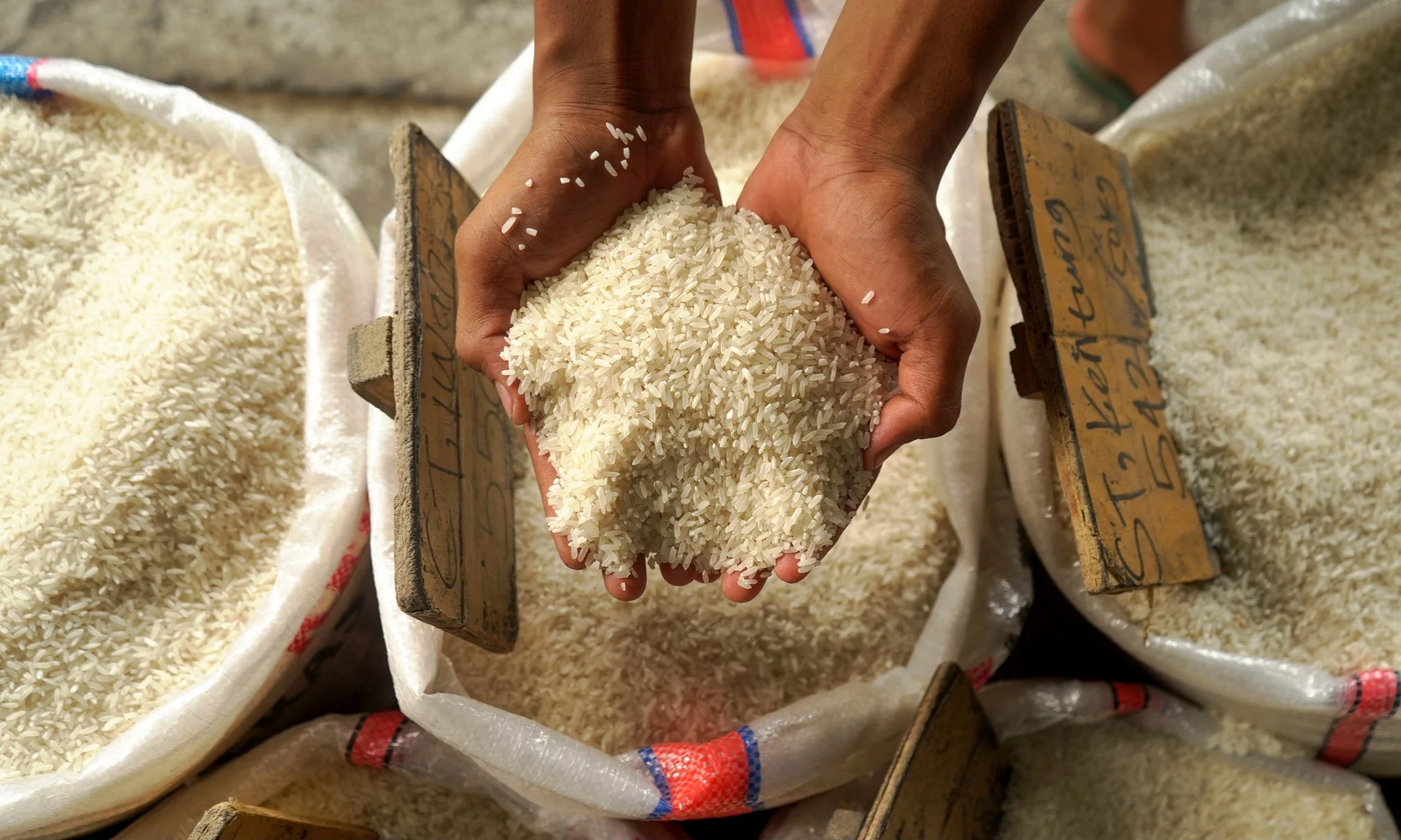 Di Balik Klaim Stok Beras Melimpah, Seberapa Tahan Indonesia Hadapi El Nino Ekstrem?