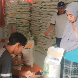 Dirut Bulog minta masyarakat tak panik, stok beras aman 4,3 juta ton