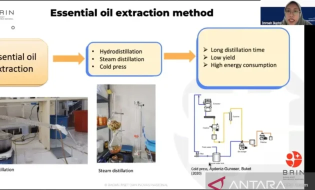 Dorong Kemandirian Industri, BRIN Kembangkan Teknologi Pemurnian Minyak Atsiri