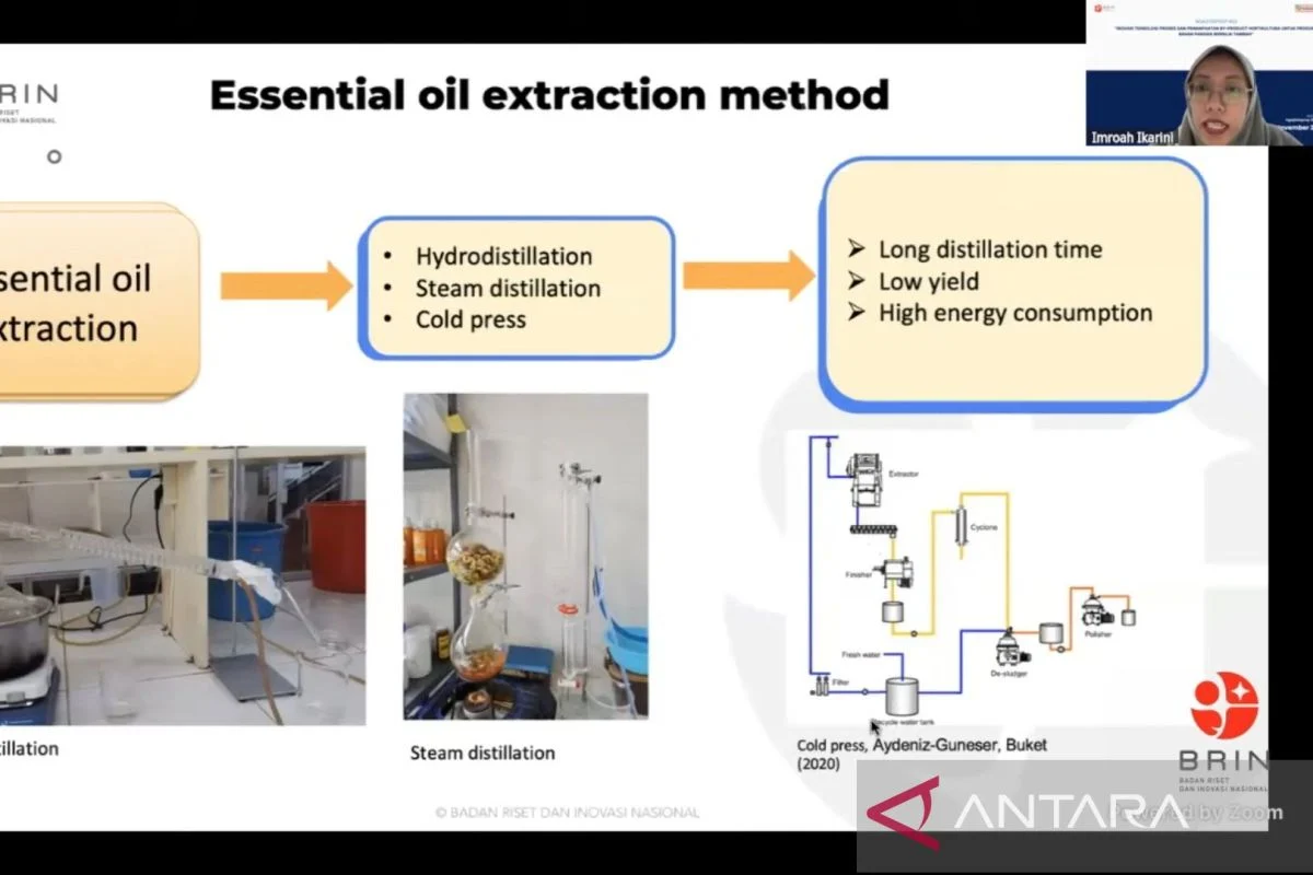 Dorong Kemandirian Industri, BRIN Kembangkan Teknologi Pemurnian Minyak Atsiri