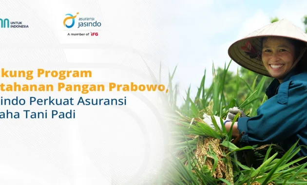 Dorong Ketahanan Pangan, Asuransi Jasindo Gelar Program Pengembangan Beras Sehat di Karawang