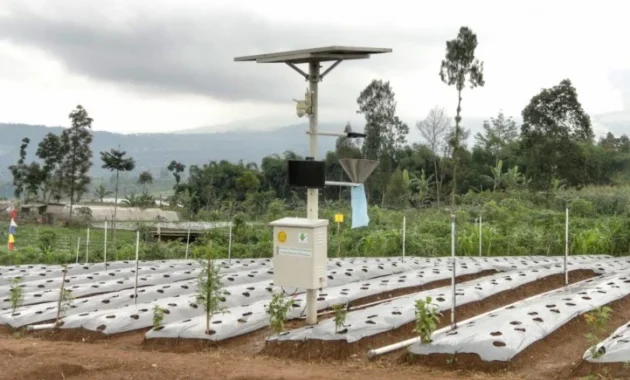 Dosen Unmuh Jember Rancang Sensor RFID Tanpa Baterai untuk Pertanian