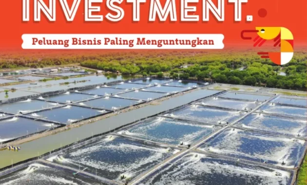 DPR RI Nilai Budidaya Udang Vaname Dorong Investasi di Kepri