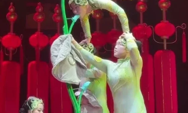 Drama Akrobatik “Swan” Asal China Memukau Penonton di Moskow