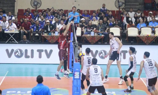 Drama Final Four Proliga 2026: LavAni Raih Tiket Grand Final Pertama, Bhayangkara Presisi Buka Jalan Kejuaraan