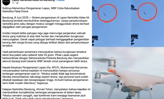 Dua Pria di Australia Dituduh Pakai Drone untuk Antar Paket Narkoba