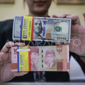 Ekonom: BI perlu perkuat ekosistem pasar valas domestik, dukung rupiah