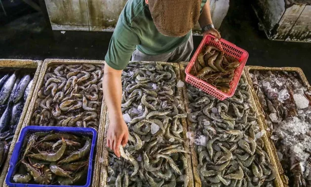 Ekspor udang Waingapu diproyeksikan capai Rp4,85 triliun per tahun