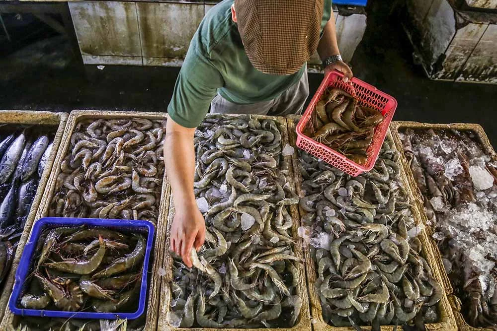 Ekspor udang Waingapu diproyeksikan capai Rp4,85 triliun per tahun