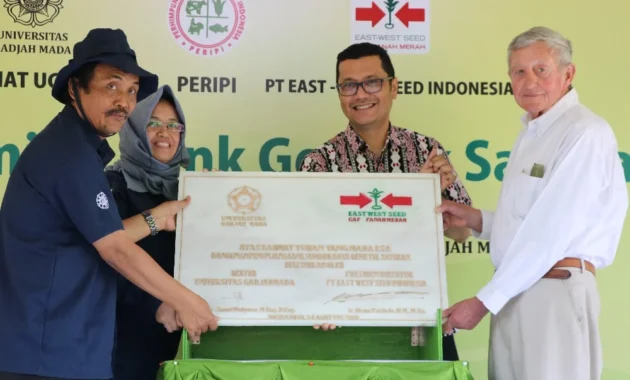 Ewindo perkuat kerja sama dengan UGM jaga Bank Genetik Sayuran